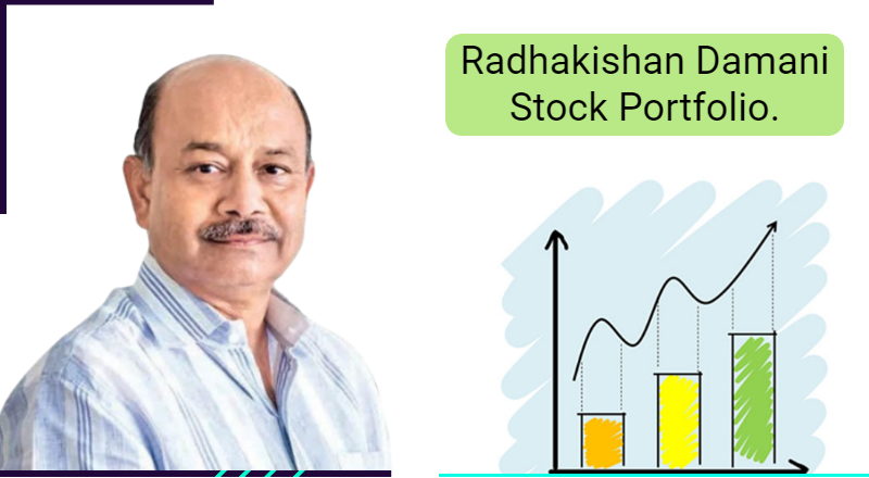 Radhakishan Damani Portfolio